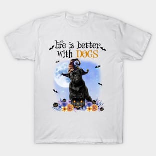 Black Pug Witch Hat Life Is Better With Dogs Halloween T-Shirt